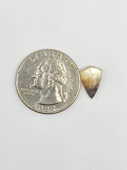 Scenic Dendritic Agate Cabochon – Natural Landscape Stone