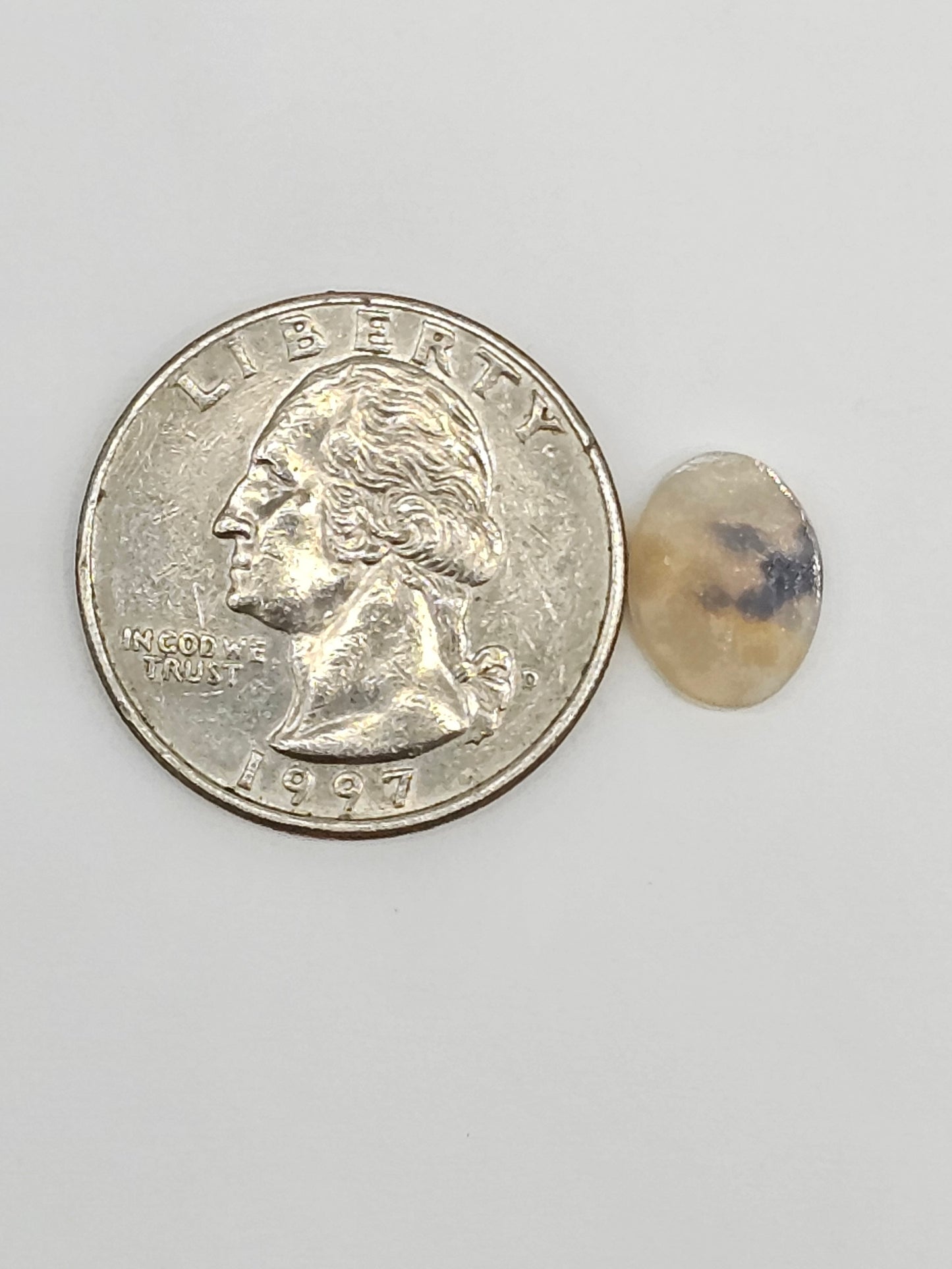 Scenic Dendritic Agate Cabochon – Natural Landscape Stone