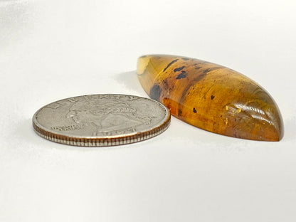 Amber cabochon | Artisan Cut Gemstone