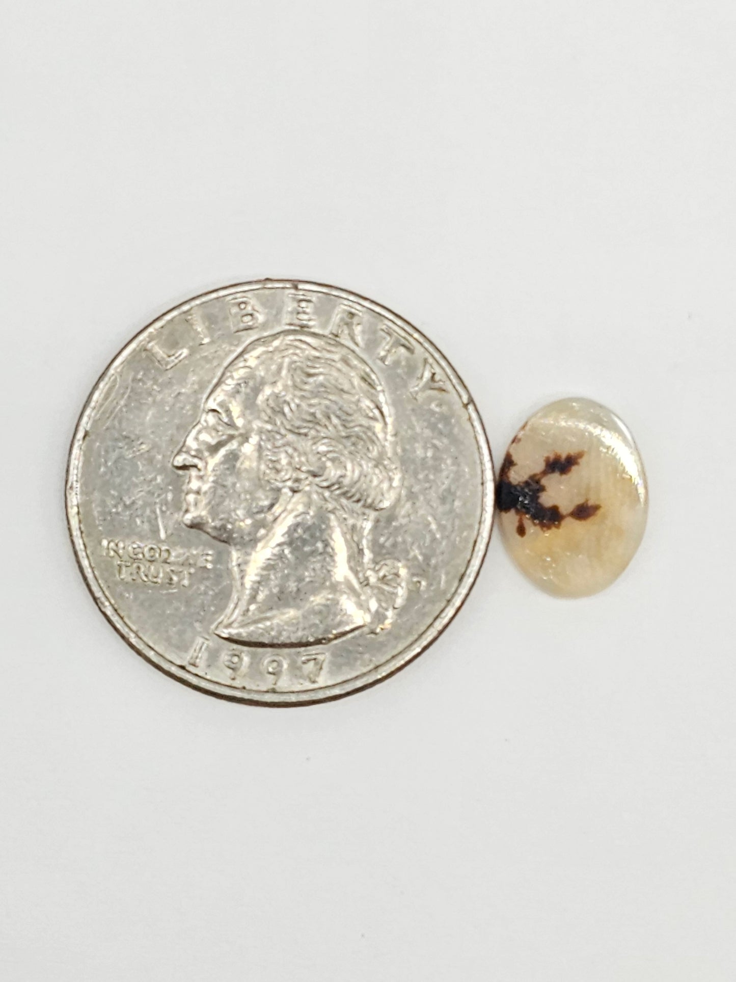 Scenic Dendritic Agate Cabochon – Natural Landscape Stone