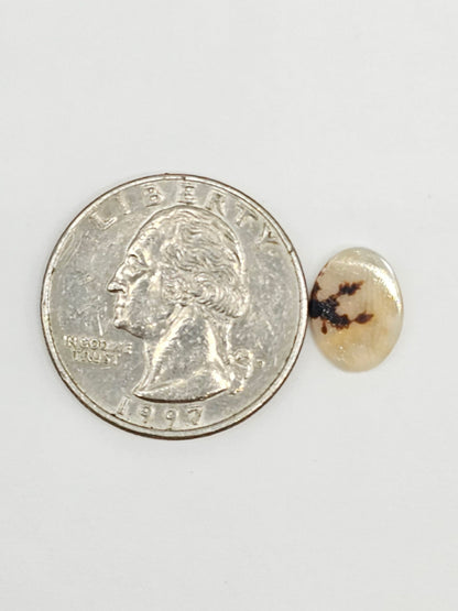 Scenic Dendritic Agate Cabochon – Natural Landscape Stone