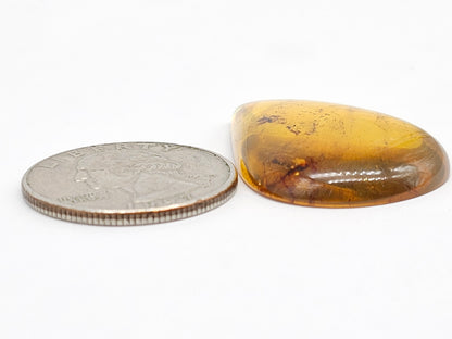 Amber cabochon | Artisan Cut Gemstone