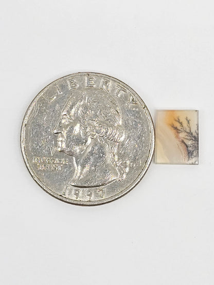 Scenic Dendritic Agate Cabochon – Natural Landscape Stone