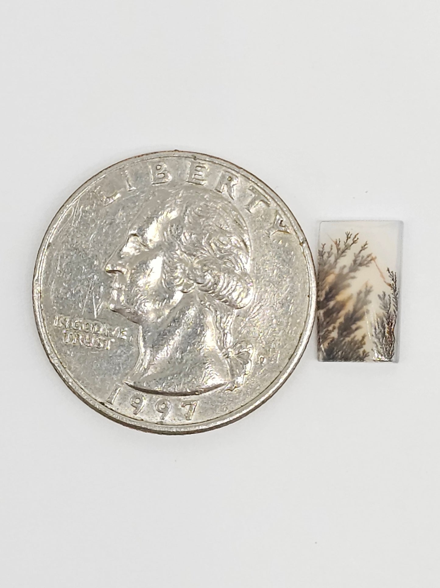 Scenic Dendritic Agate Cabochon – Natural Landscape Stone