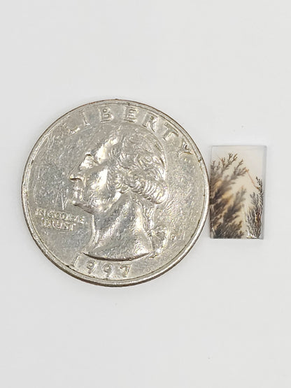 Scenic Dendritic Agate Cabochon – Natural Landscape Stone