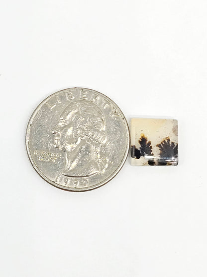 Scenic Dendritic Agate Cabochon – Natural Landscape Stone