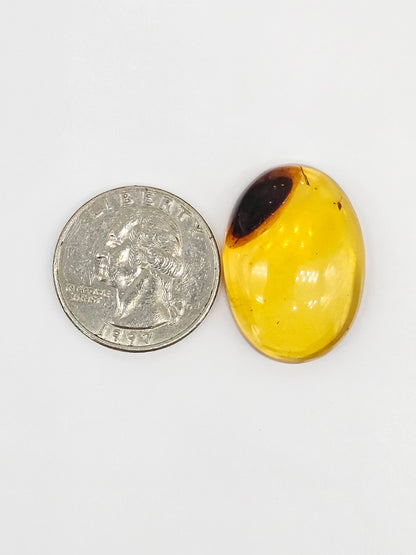 Amber cabochon | Artisan Cut Gemstone
