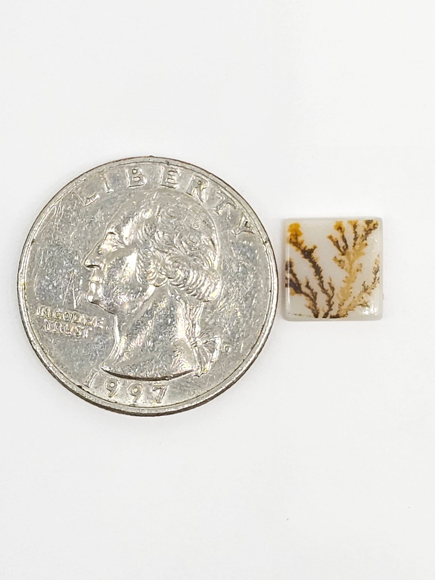 Scenic Dendritic Agate Cabochon – Natural Landscape Stone