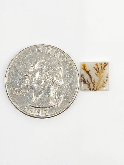 Scenic Dendritic Agate Cabochon – Natural Landscape Stone