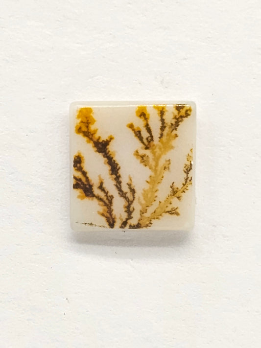 Scenic Dendritic Agate Cabochon – Natural Landscape Stone