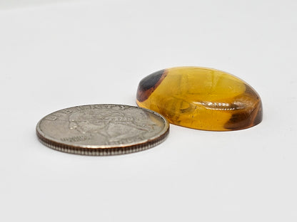 Amber cabochon | Artisan Cut Gemstone