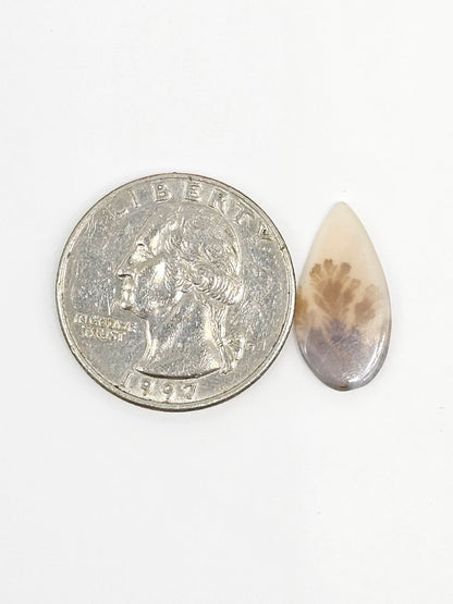 Scenic Dendritic Agate Cabochon – Natural Landscape Stone