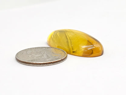 Amber cabochon | Artisan Cut Gemstone
