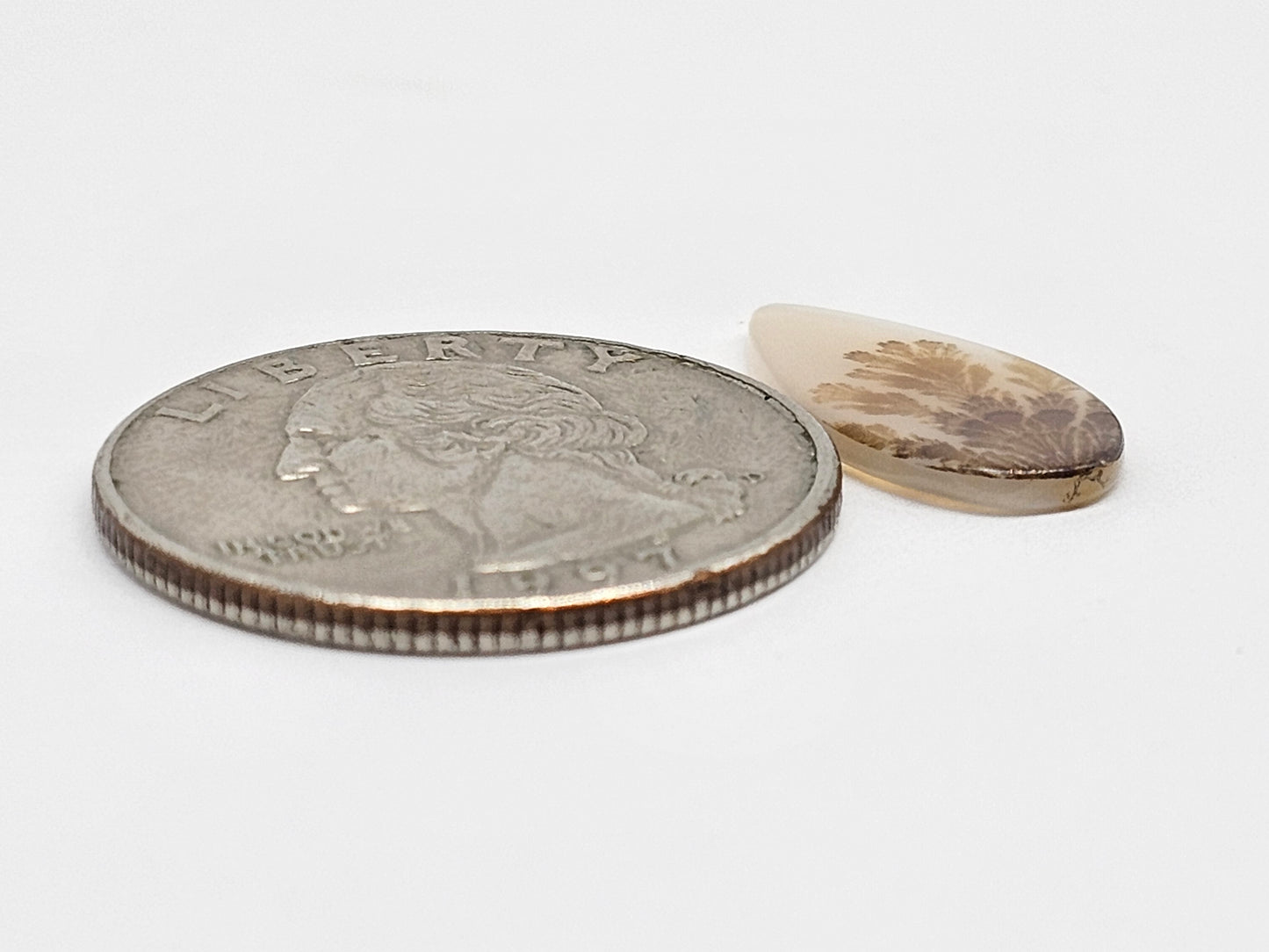 Scenic Dendritic Agate Cabochon – Natural Landscape Stone