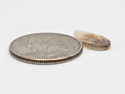 Scenic Dendritic Agate Cabochon – Natural Landscape Stone