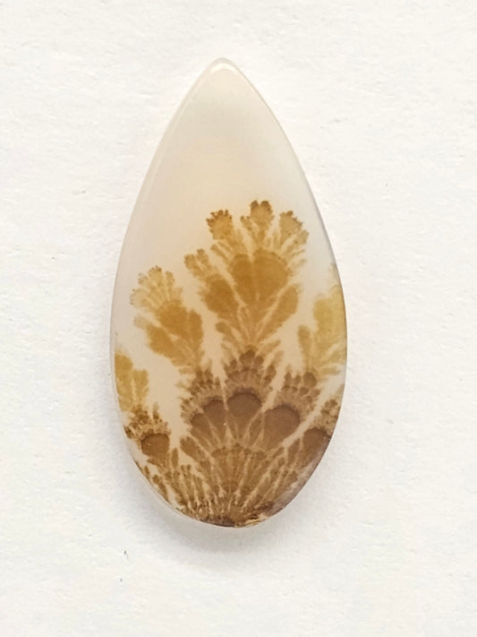 Scenic Dendritic Agate Cabochon – Natural Landscape Stone