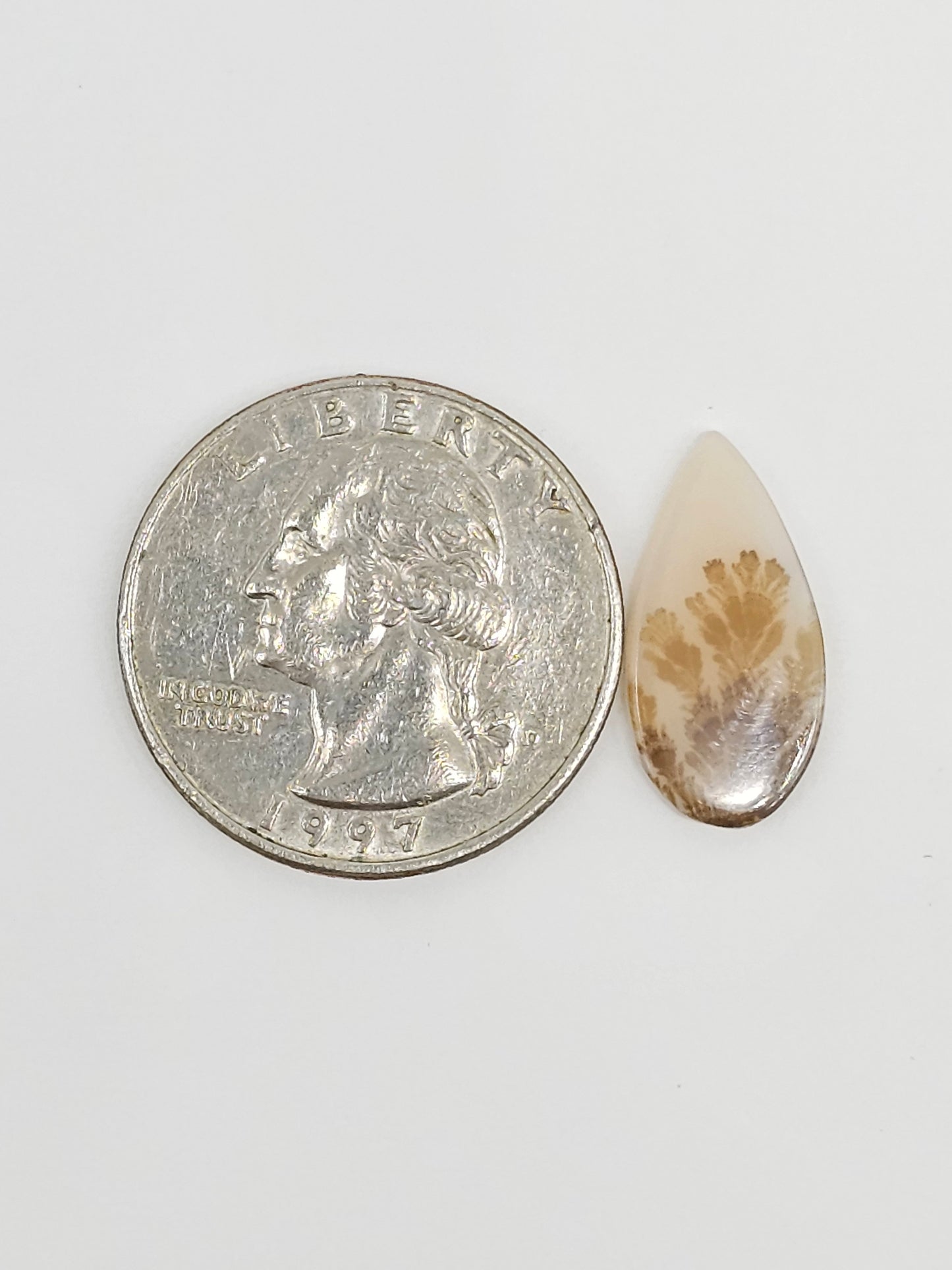Scenic Dendritic Agate Cabochon – Natural Landscape Stone