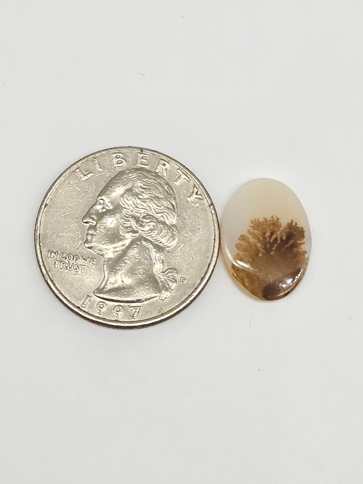 Scenic Dendritic Agate Cabochon – Natural Landscape Stone
