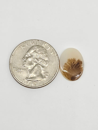 Scenic Dendritic Agate Cabochon – Natural Landscape Stone
