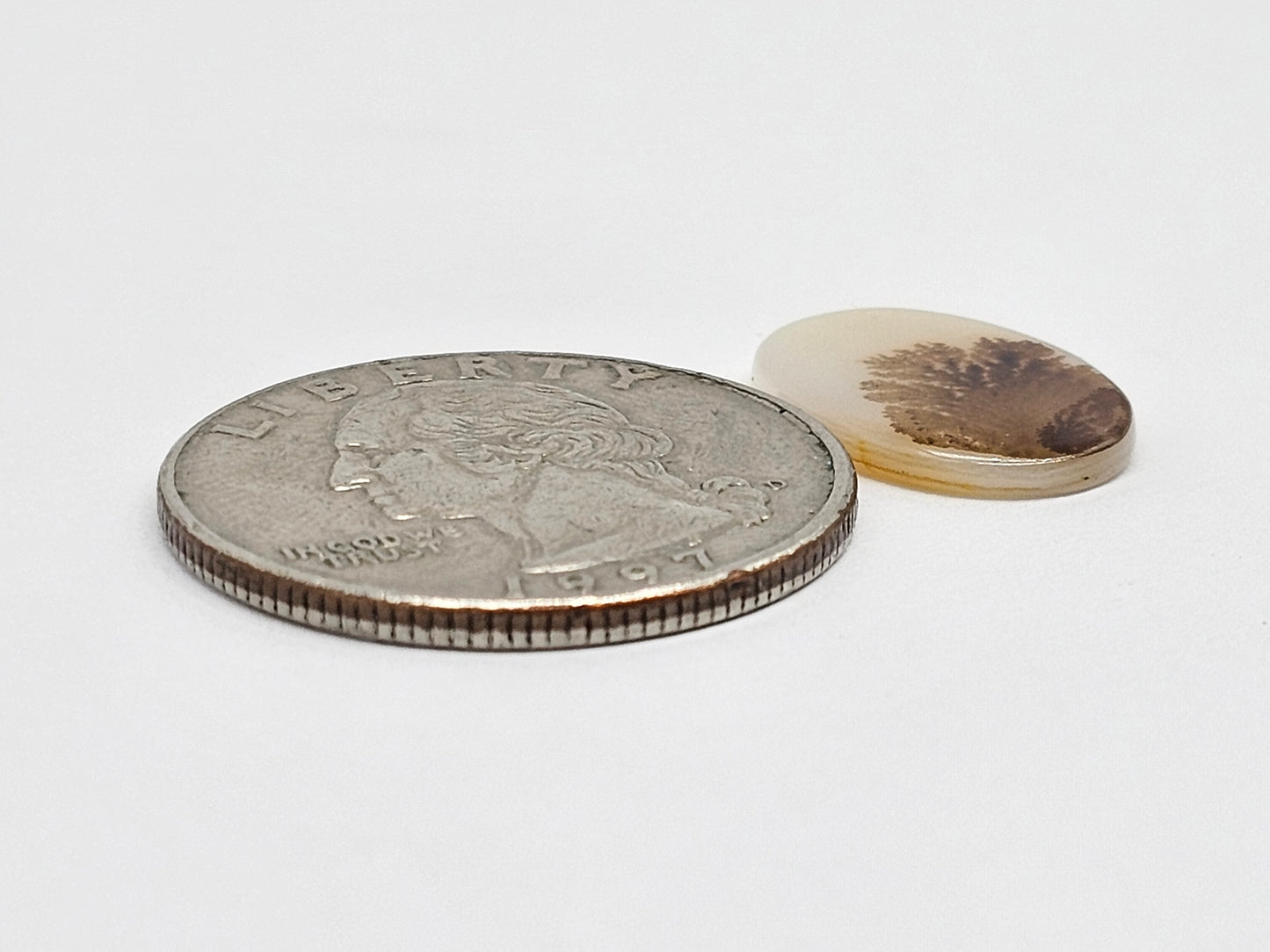 Scenic Dendritic Agate Cabochon – Natural Landscape Stone