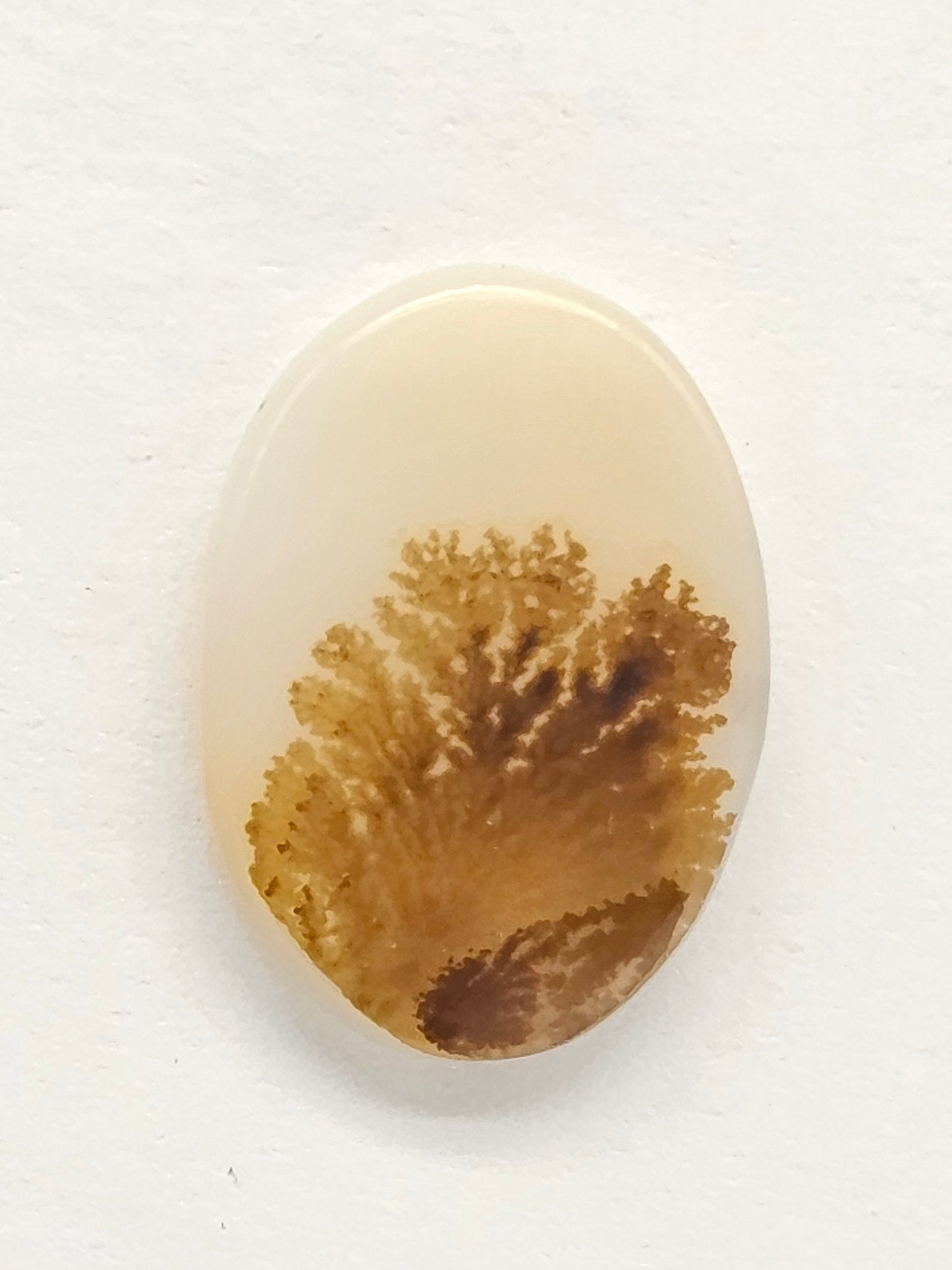 Scenic Dendritic Agate Cabochon – Natural Landscape Stone