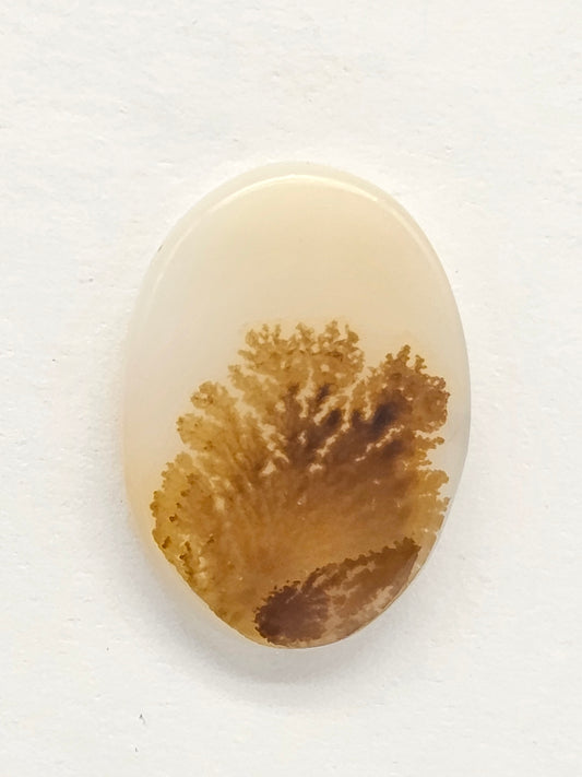 Scenic Dendritic Agate Cabochon – Natural Landscape Stone