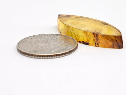 Amber cabochon | Artisan Cut Gemstone