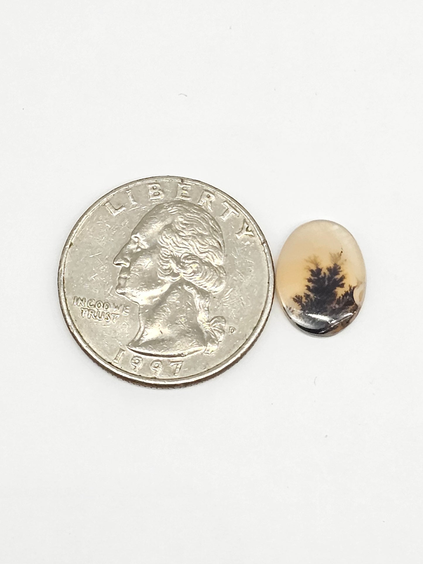 Scenic Dendritic Agate Cabochon – Natural Landscape Stone