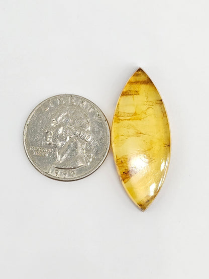 Amber cabochon | Artisan Cut Gemstone