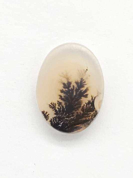 Scenic Dendritic Agate Cabochon – Natural Landscape Stone