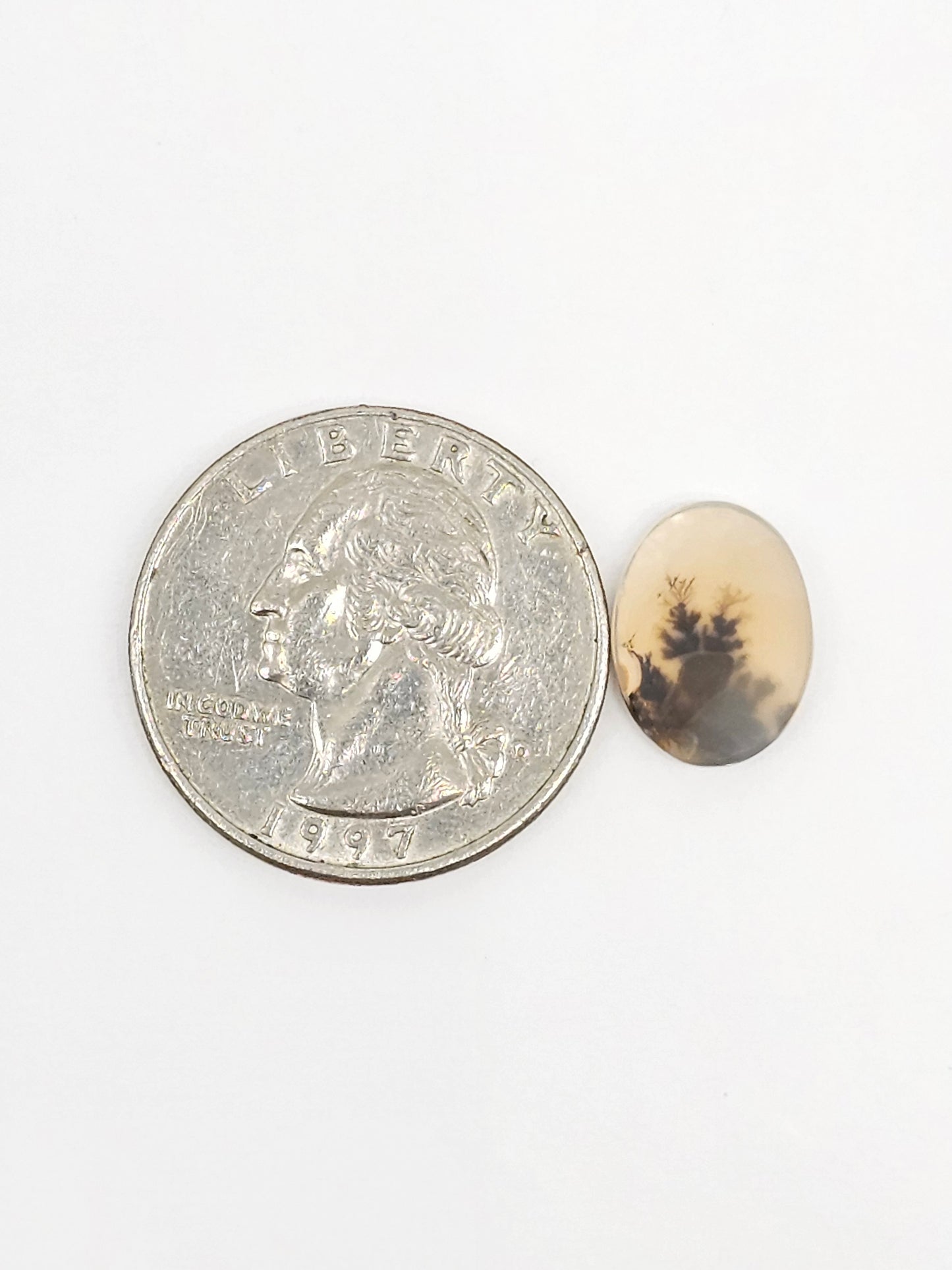 Scenic Dendritic Agate Cabochon – Natural Landscape Stone