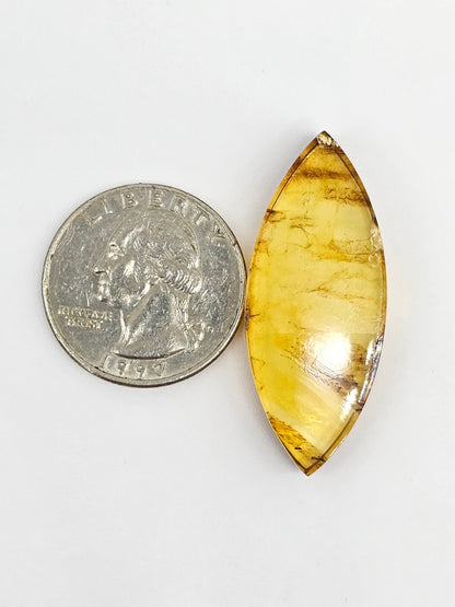 Amber cabochon | Artisan Cut Gemstone