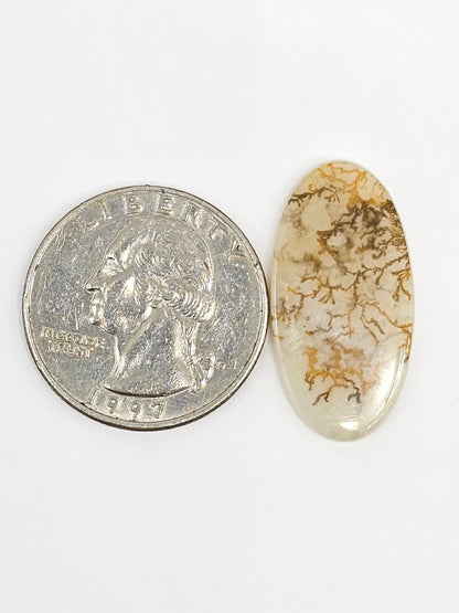 Scenic Dendritic Agate Cabochon – Natural Landscape Stone