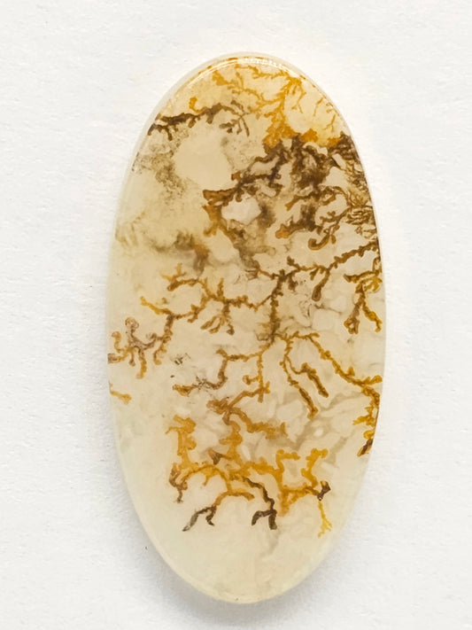 Scenic Dendritic Agate Cabochon – Natural Landscape Stone