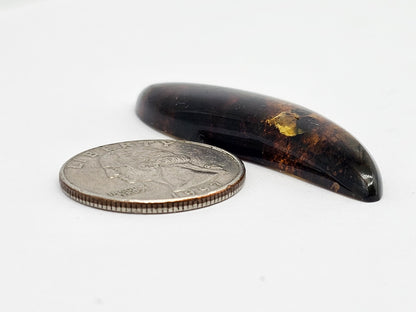 Amber cabochon | Artisan Cut Gemstone