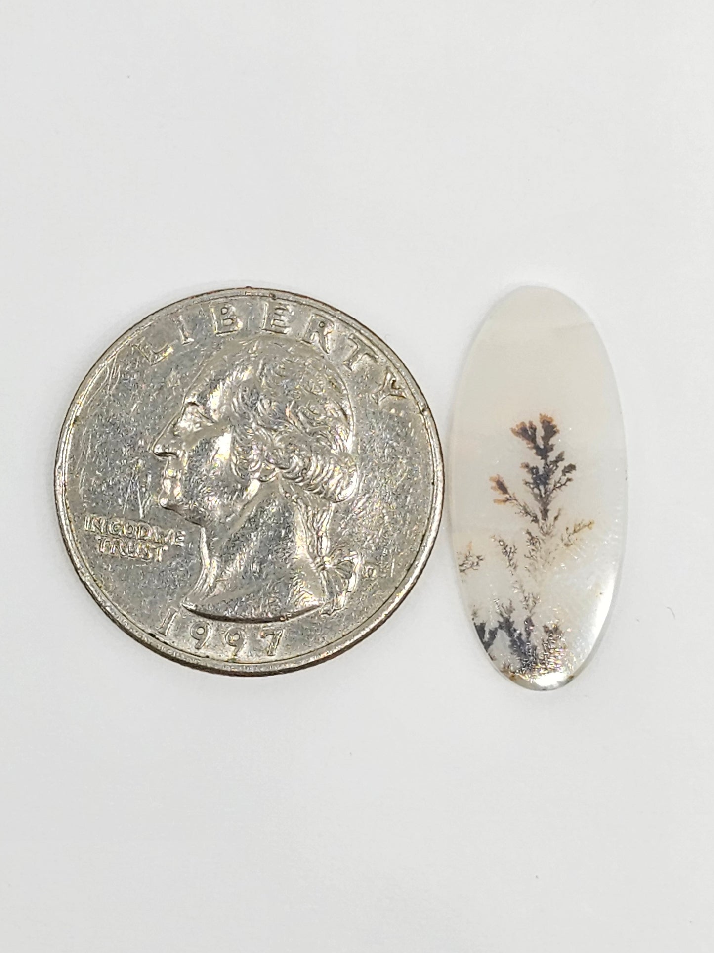 Scenic Dendritic Agate Cabochon – Natural Landscape Stone