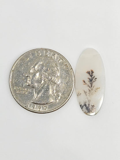 Scenic Dendritic Agate Cabochon – Natural Landscape Stone