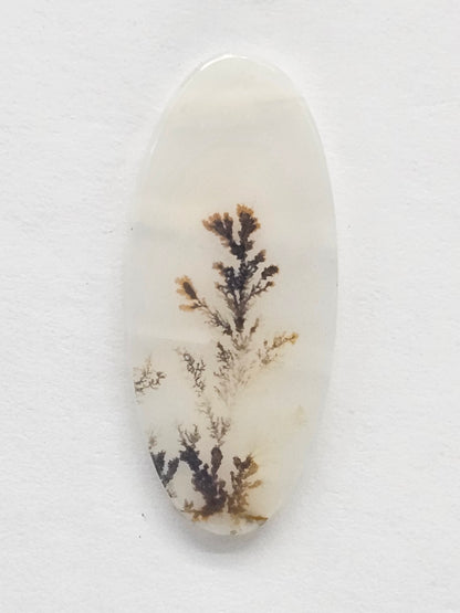 Scenic Dendritic Agate Cabochon – Natural Landscape Stone