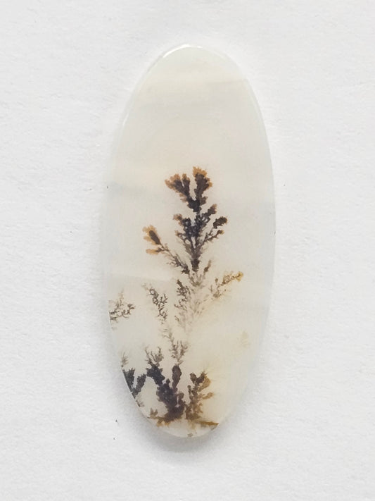 Scenic Dendritic Agate Cabochon – Natural Landscape Stone