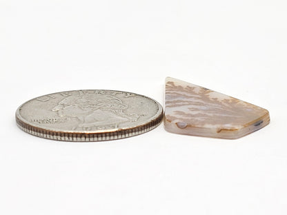 Scenic Dendritic Agate Cabochon – Natural Landscape Stone