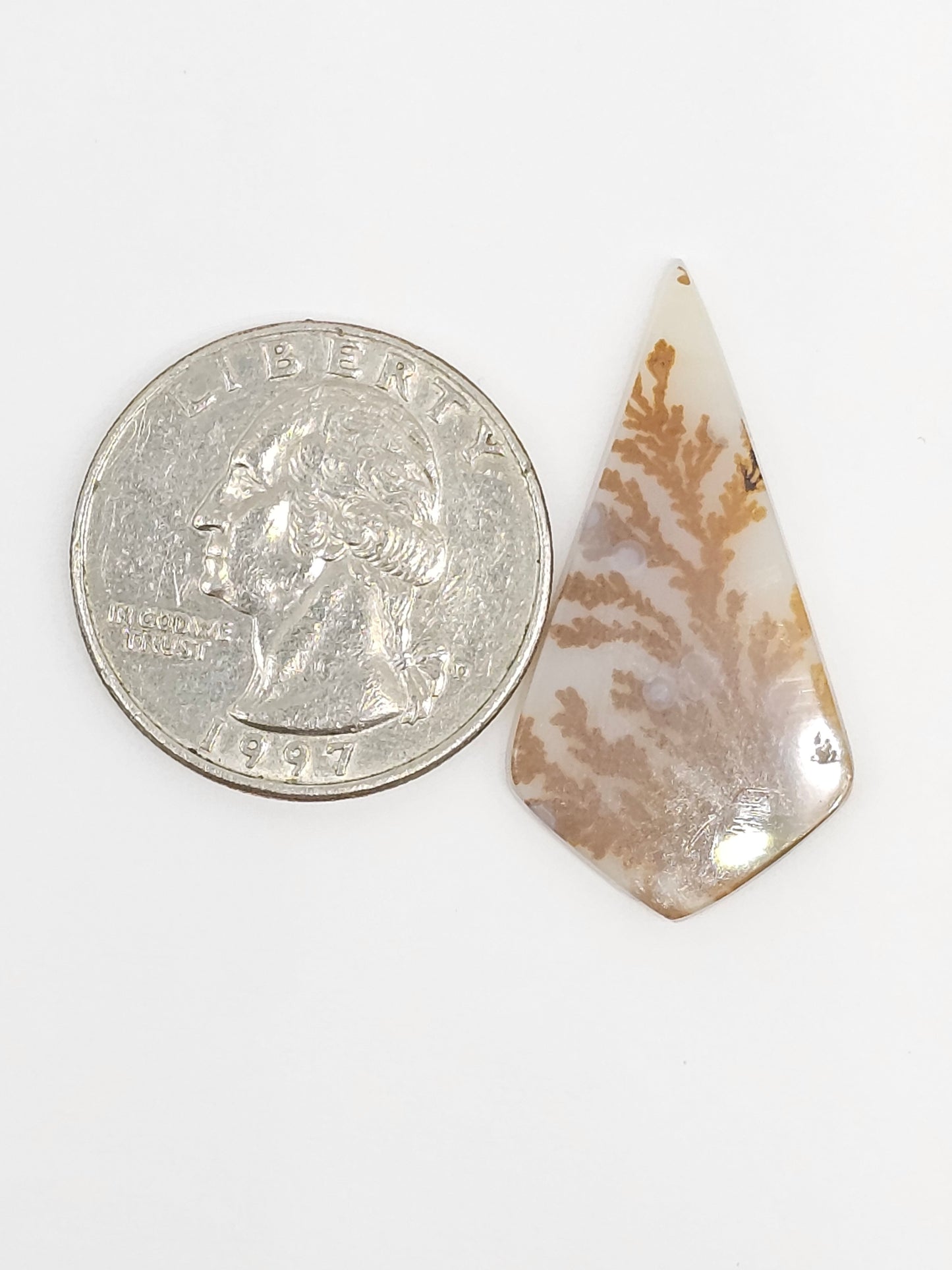 Scenic Dendritic Agate Cabochon – Natural Landscape Stone