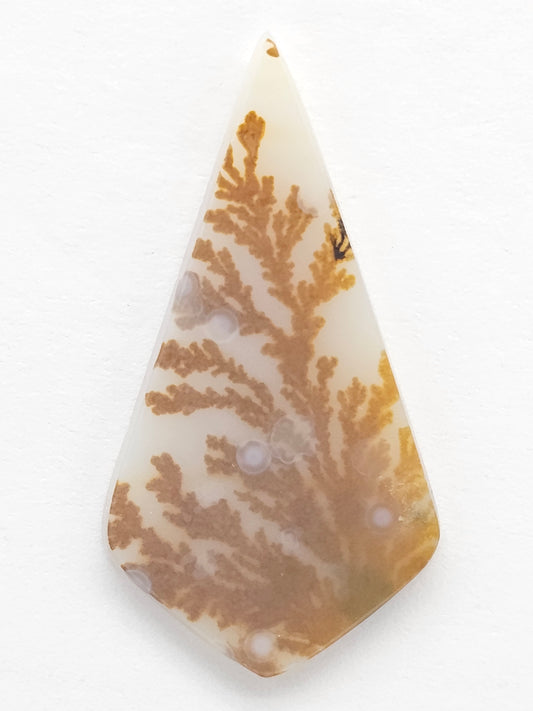 Scenic Dendritic Agate Cabochon – Natural Landscape Stone