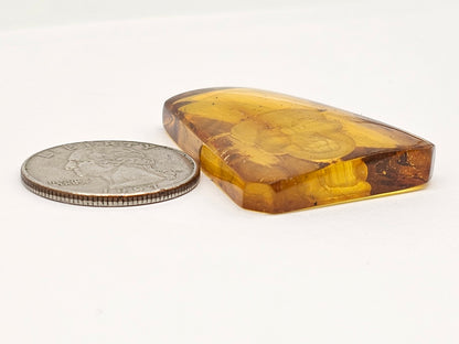Amber Intaglio Cabochon | Hand-Carved Natural Amber