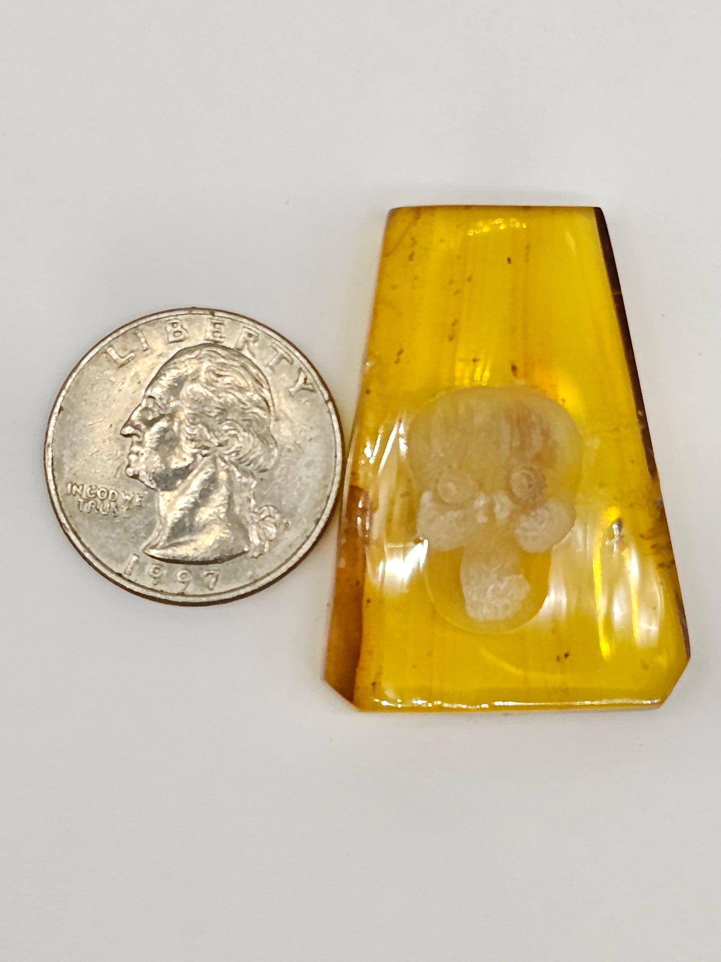 Amber Intaglio Cabochon | Hand-Carved Natural Amber