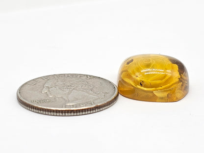 Amber Intaglio Cabochon | Hand-Carved Natural Amber