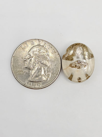 Sand Dollar Fossil - Medium