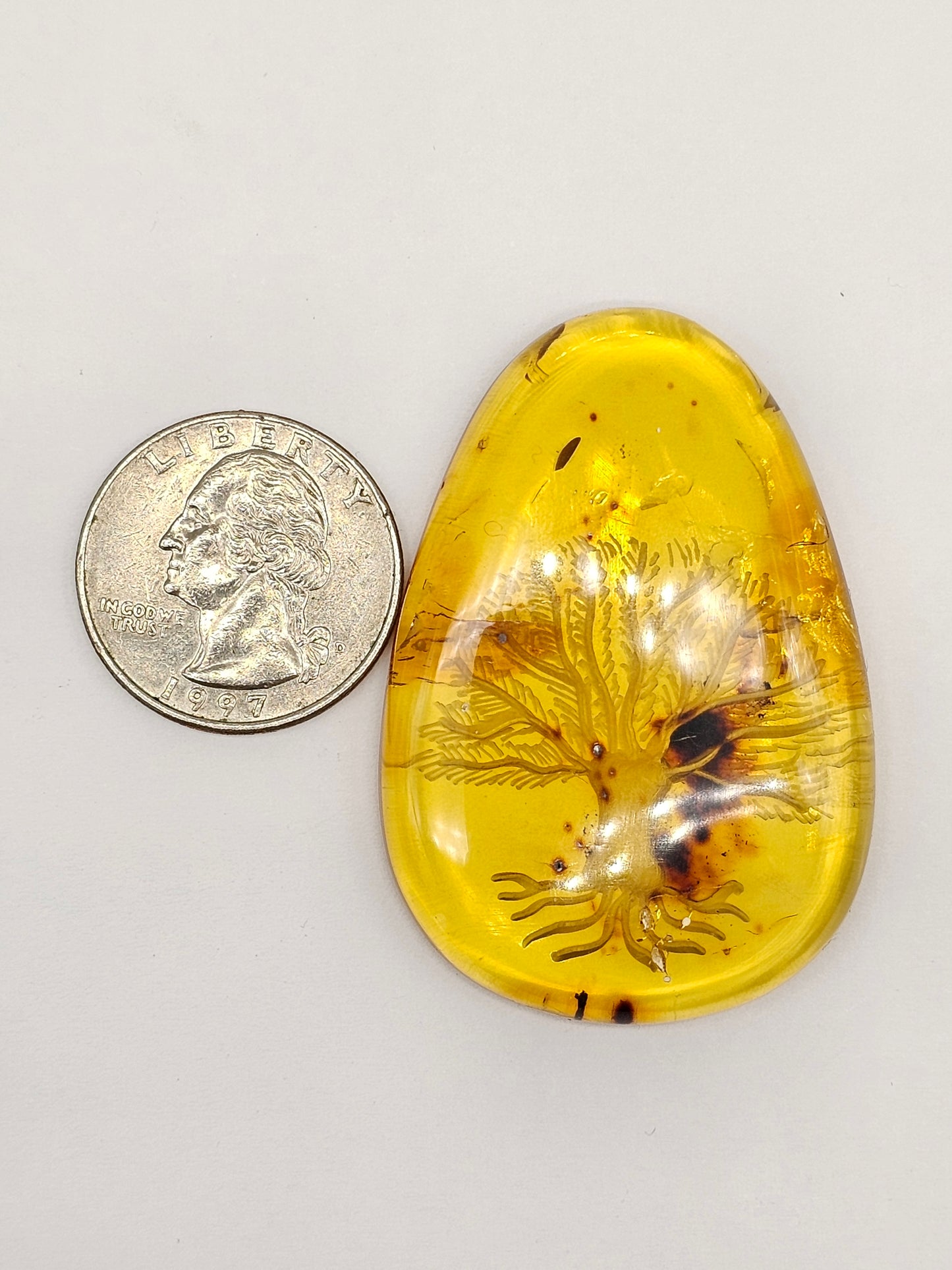 Amber Intaglio Cabochon | Hand-Carved Natural Amber
