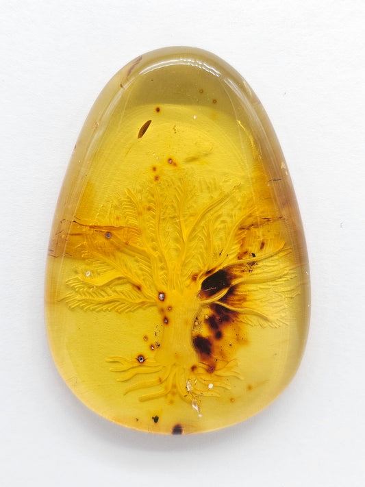 Amber Intaglio Cabochon | Hand-Carved Natural Amber