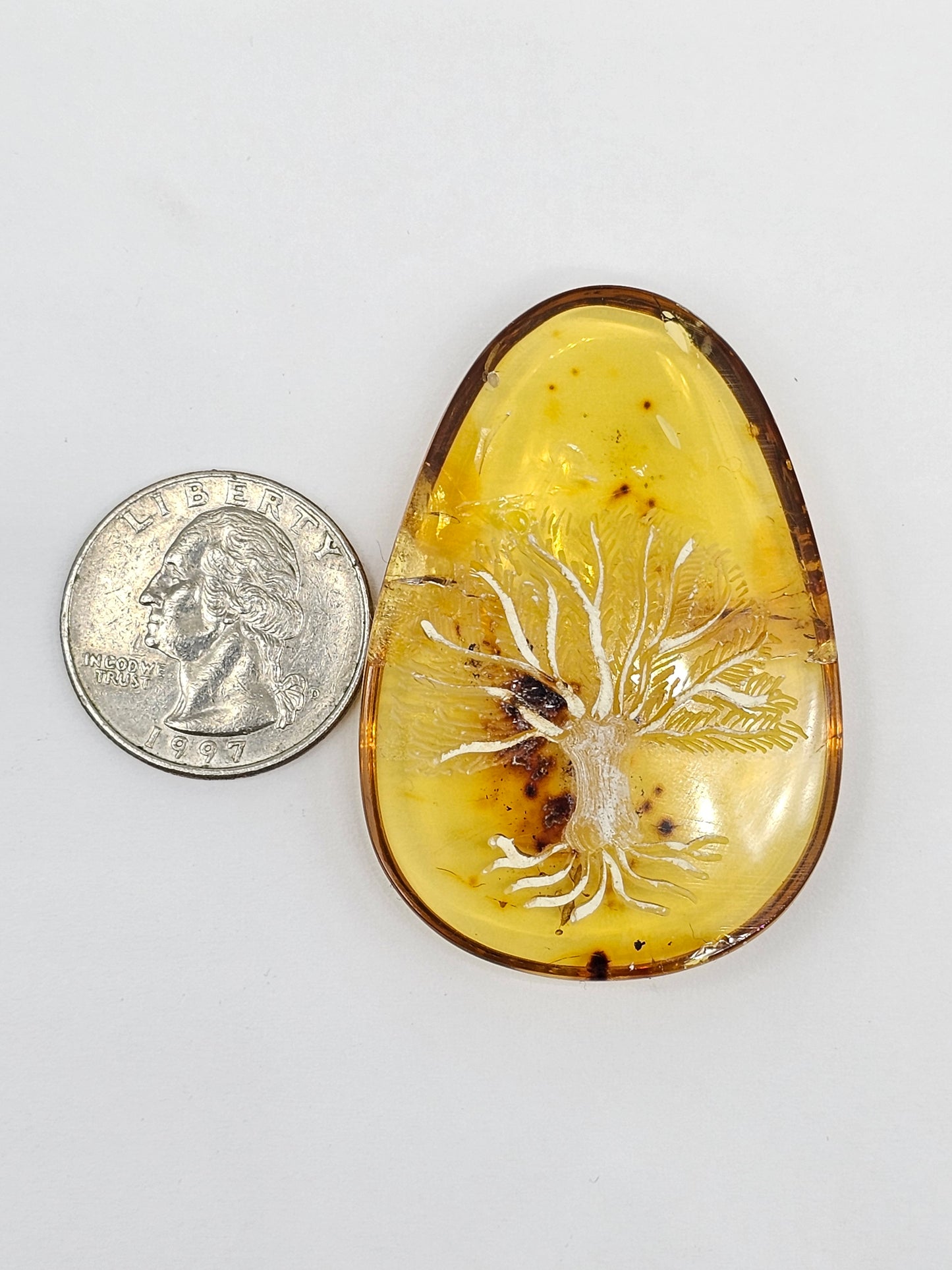 Amber Intaglio Cabochon | Hand-Carved Natural Amber