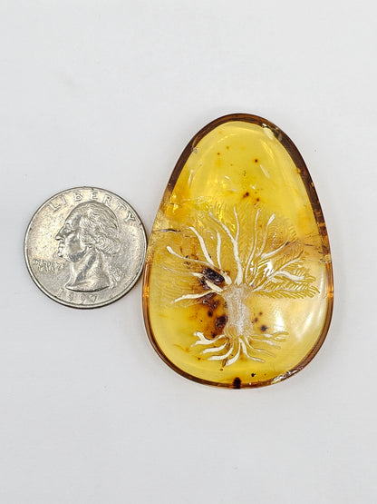 Amber Intaglio Cabochon | Hand-Carved Natural Amber